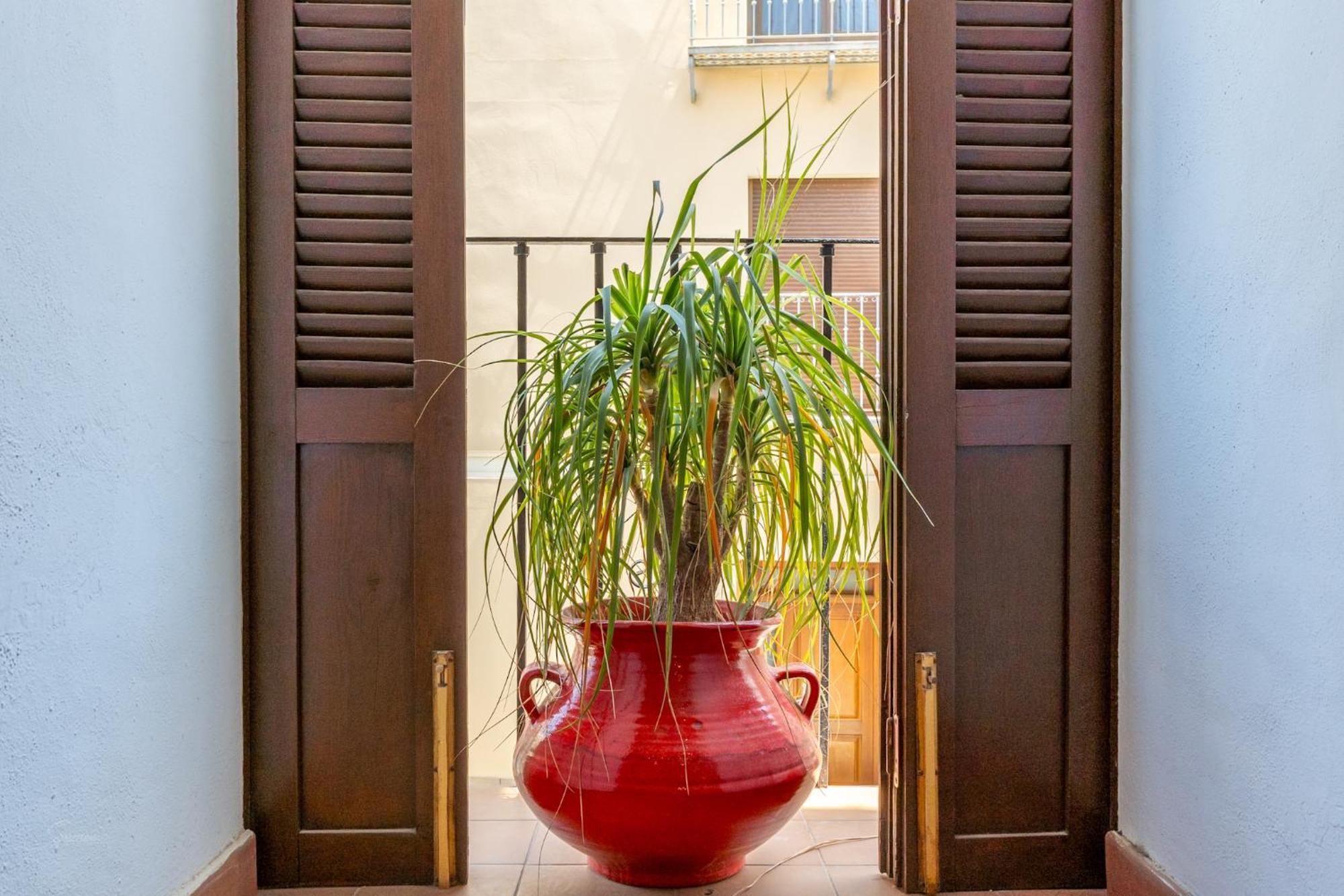 شقة Denia Townhouse المظهر الخارجي الصورة